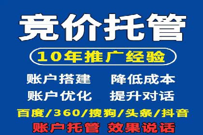 竞价广告与自然搜索的结合策略：XX网站的案例分析